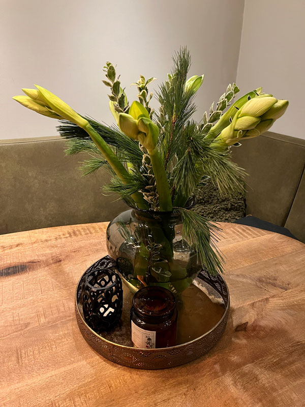  Euonymus White Spire op tafel