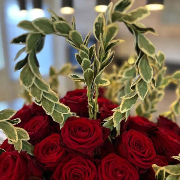 Euonymus White Spire | Elk boeket iets bijzonders